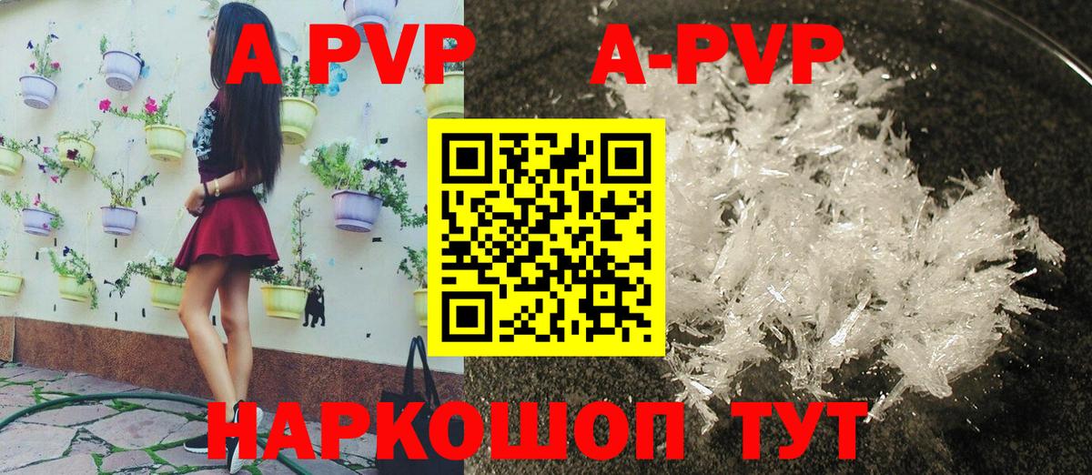 A-PVP СК КРИС Псков